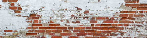 cropped_1602486662.jpg