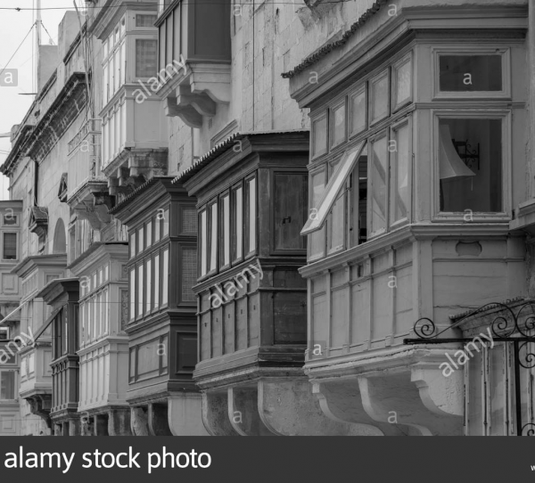 cropped_1605070876.jpg