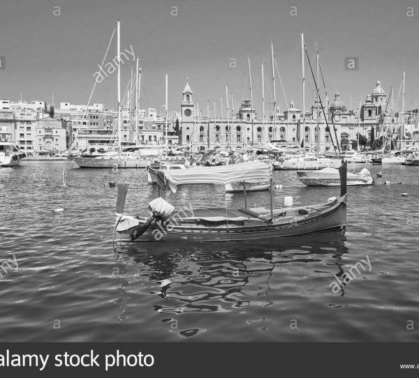 cropped_1605071086.jpg