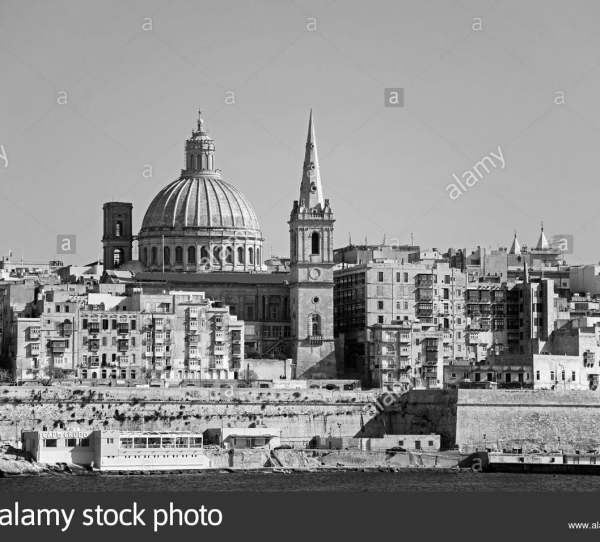 cropped_1605071212.jpg