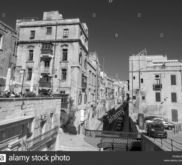 cropped_1605071653.jpg