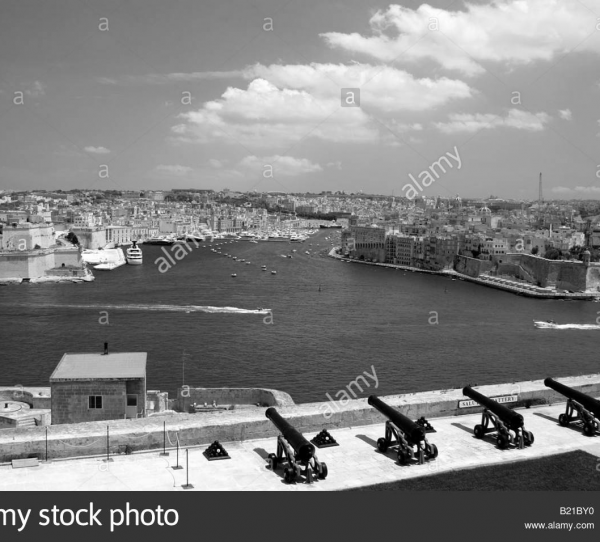 cropped_1605071733.jpg