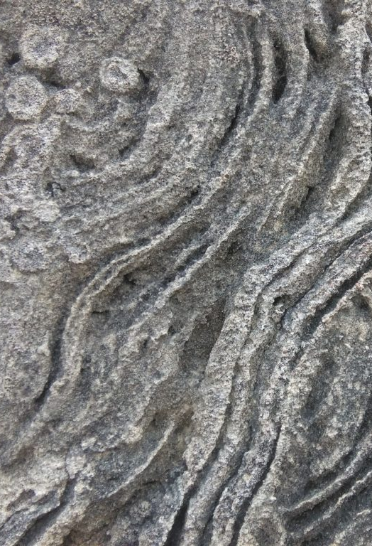 cropped_1605077517.jpg