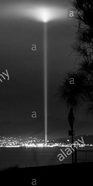cropped_1605168045.jpg