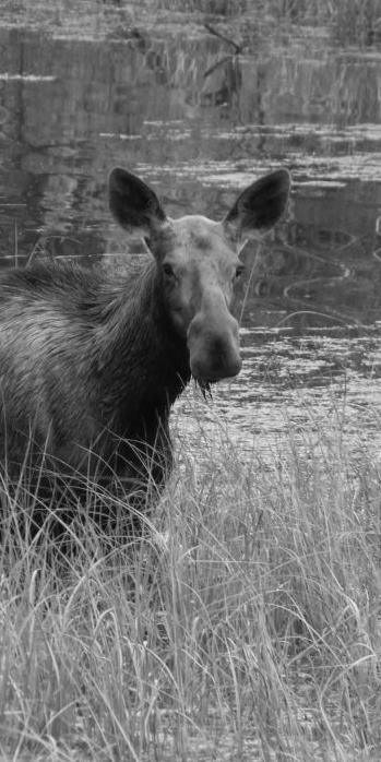 cropped_1605168721.jpg