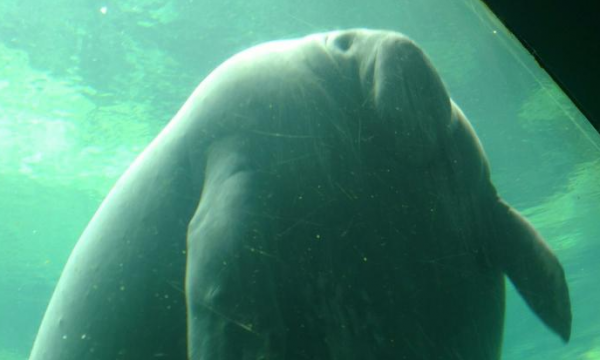 cropped_1605332837.jpg