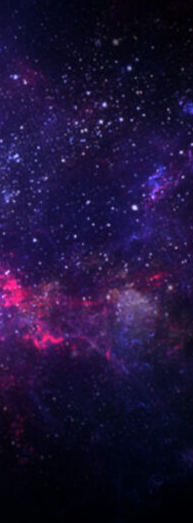 cropped_1605339837.jpg