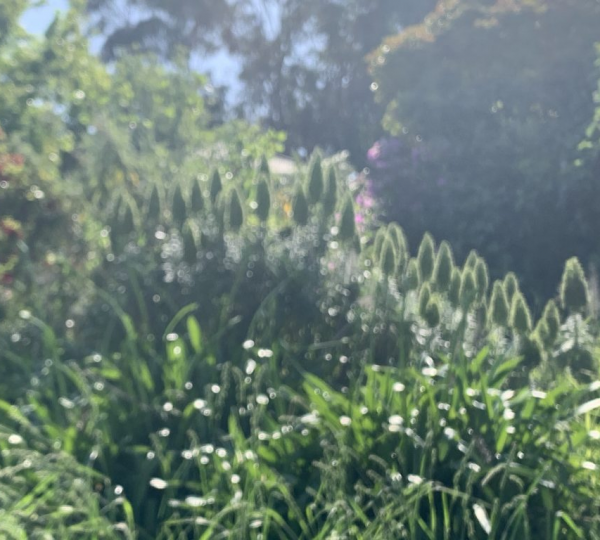cropped_1605555342.jpg