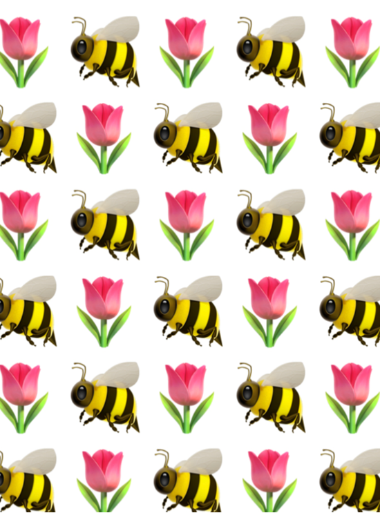 cropped_1605555518.jpg
