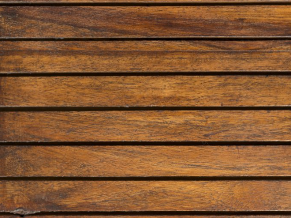 cropped_1605556056.jpg