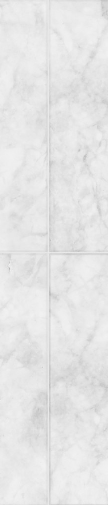 cropped_1605596810.jpg