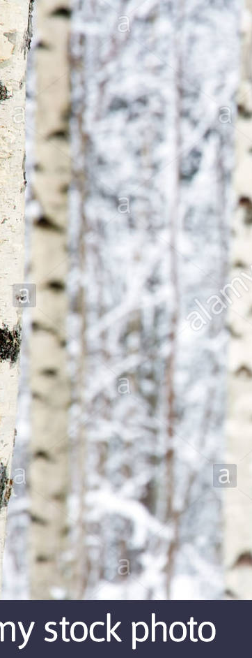 cropped_1605641121.jpg