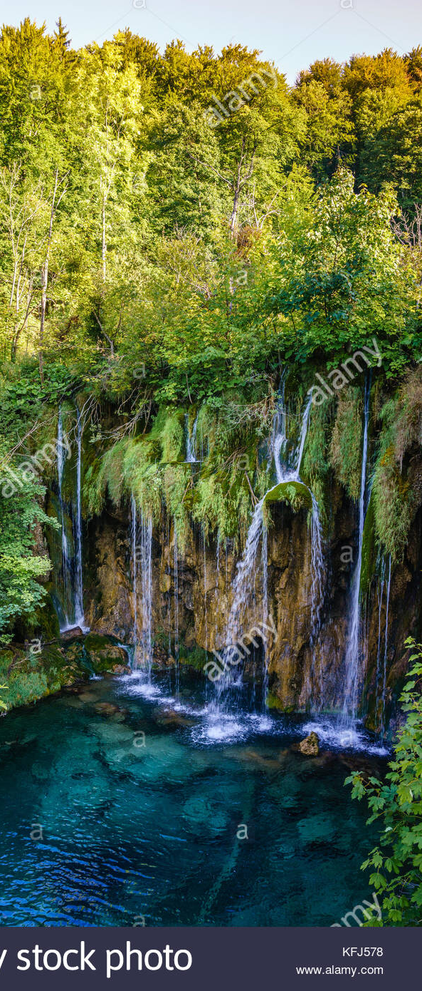 cropped_1605774674.jpg