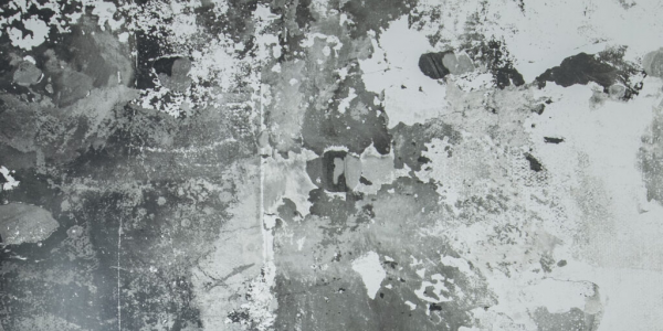 cropped_1605876476.jpg