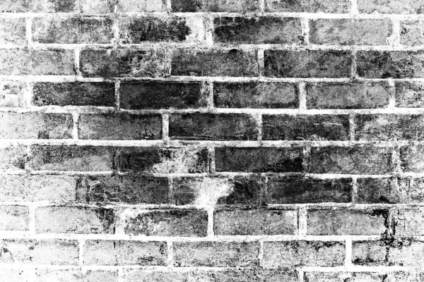cropped_1605877154.jpg