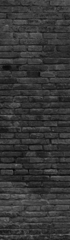 cropped_1605960106.jpg