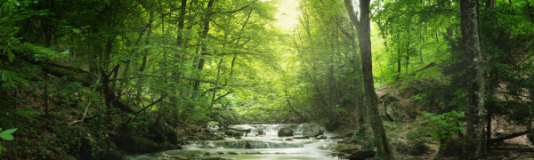 cropped_1606093576.jpg