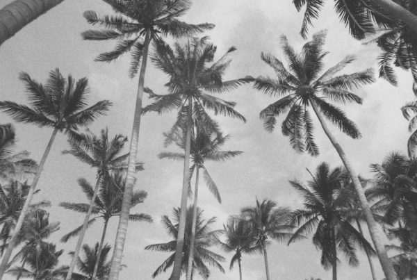cropped_1606362034.jpg