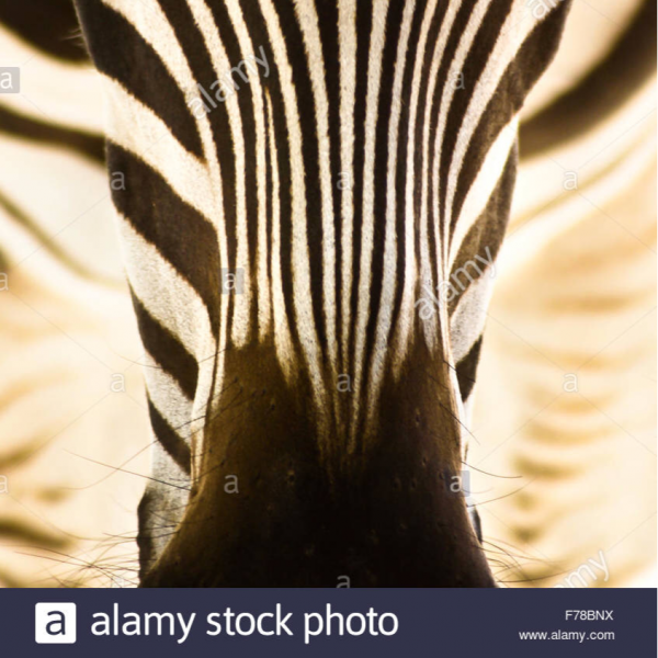 cropped_1606542205.jpg