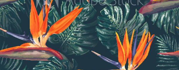 cropped_1607259065.jpg