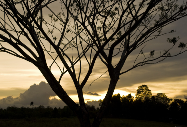 cropped_1607333925.jpg