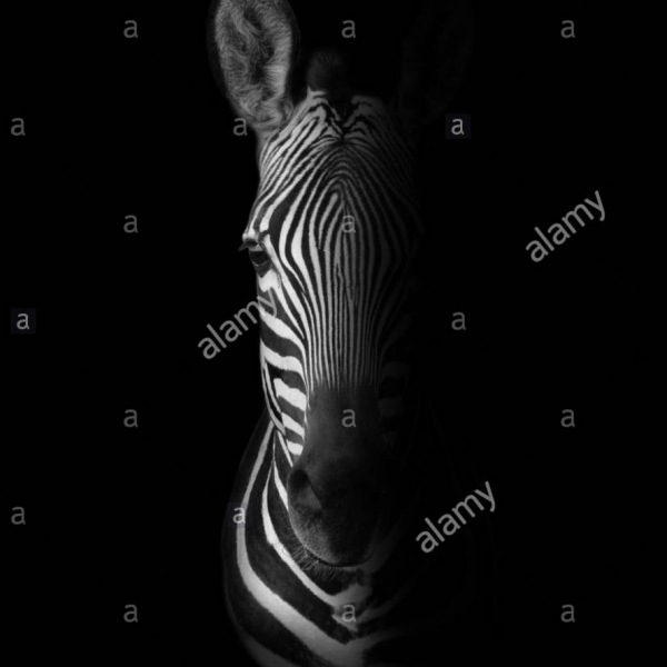 cropped_1607491033.jpg