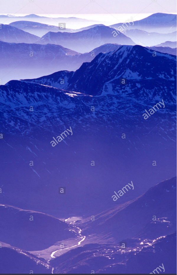 cropped_1607641301.jpg