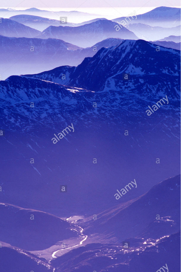 cropped_1607641604.jpg