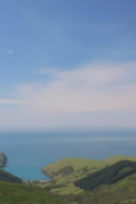 cropped_1609453142.jpg