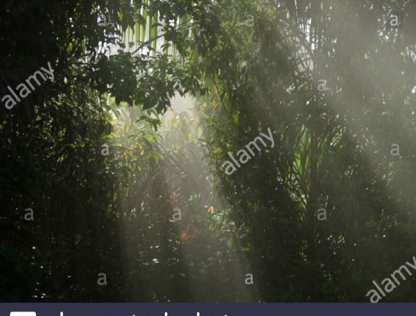 cropped_1612838848.jpg