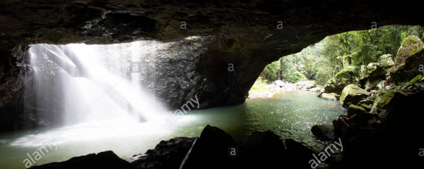 cropped_1614497112.jpg