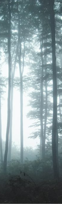 cropped_1614556938.jpg