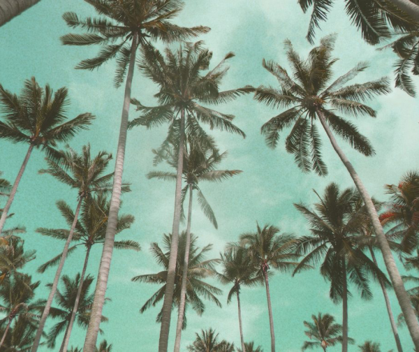 cropped_1615180085.jpg