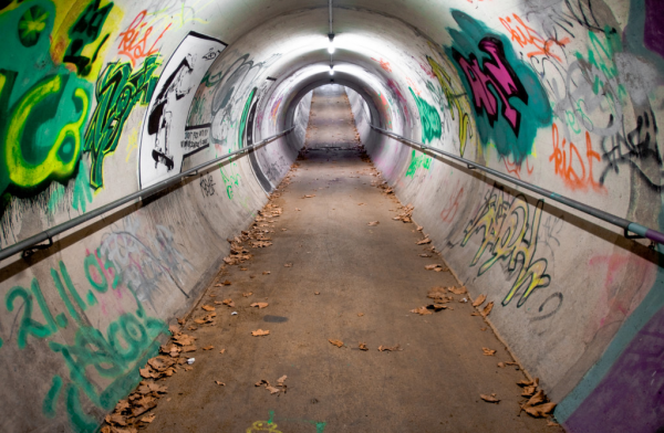 cropped_1615714279.jpg