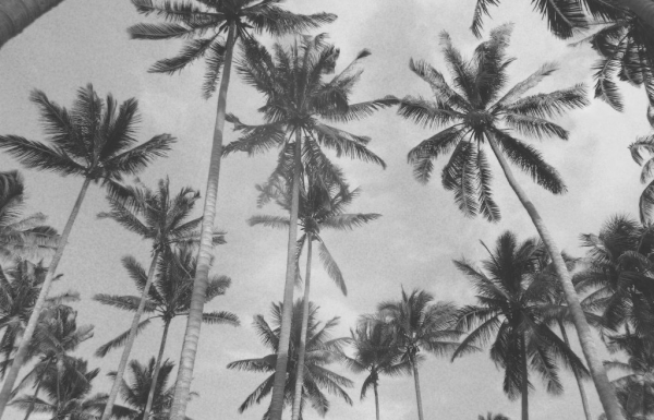 cropped_1615770030.jpg