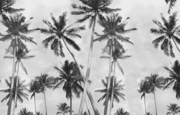 cropped_1615770126.jpg