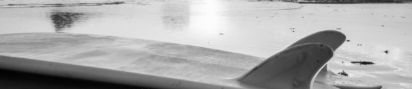 cropped_1615836752.jpg