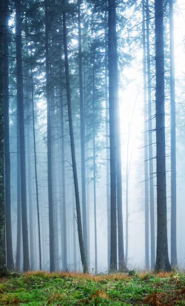 cropped_1616154039.jpg