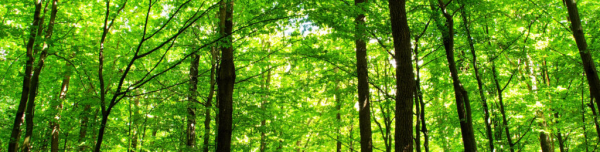 cropped_1616369718.jpg