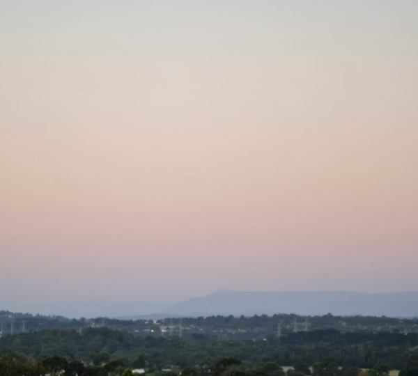 cropped_1616705738.jpg