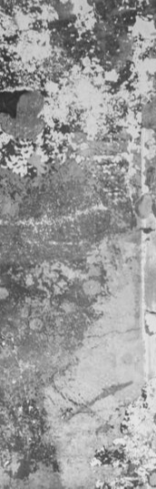 cropped_1623116645.jpg
