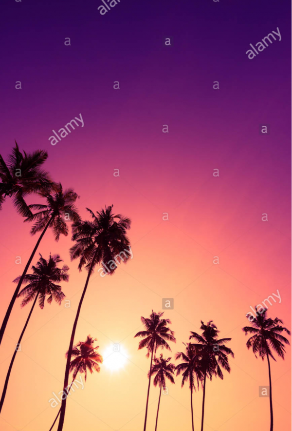 cropped_1623578256.jpg