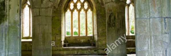 cropped_1624491031.jpg