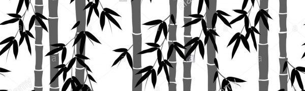 cropped_1626236147.jpg