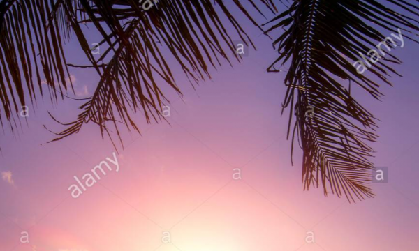 cropped_1626494229.jpg