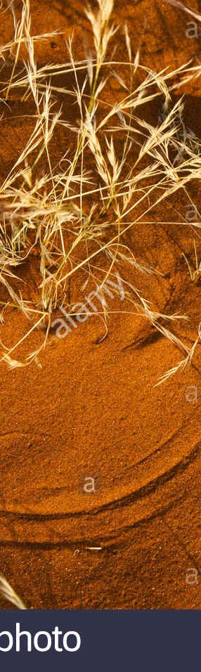 cropped_1626874556.jpg
