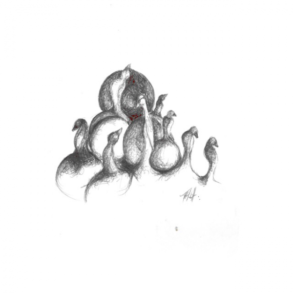 cropped_1628202986.jpg