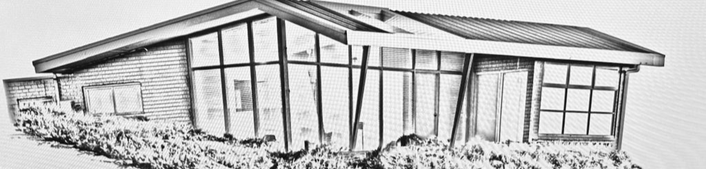 cropped_1686041928.jpg