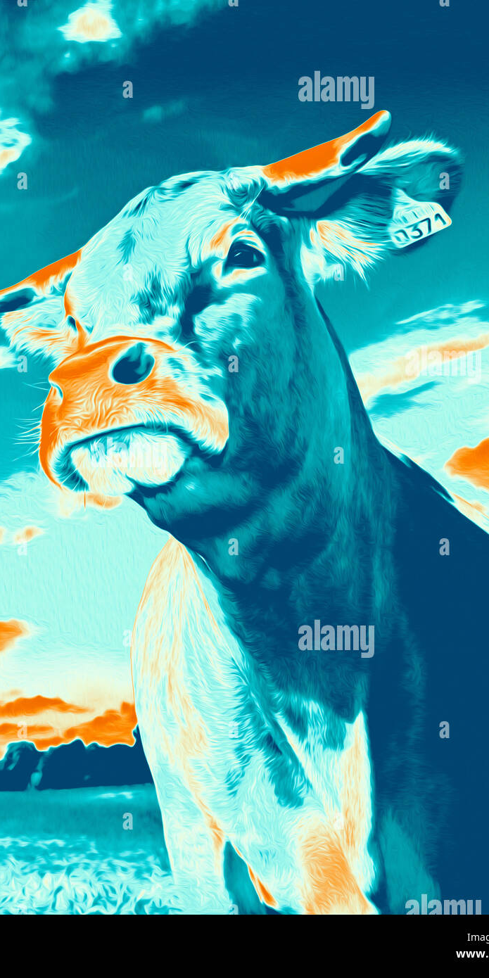 cropped_1686546435.jpg