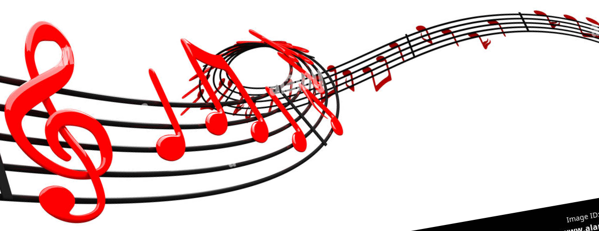 cropped_1691622501.jpg